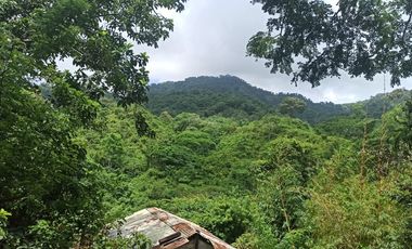 Se vende finca de 43 hectáreas con frente de rio