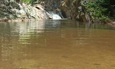 Se vende finca de 43 hectáreas con frente de rio