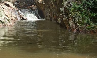 Se vende finca de 43 hectáreas con frente de rio