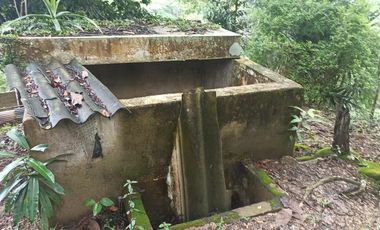 Se vende finca de 43 hectáreas con frente de rio