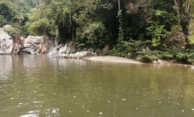 Se vende finca de 43 hectáreas con frente de rio