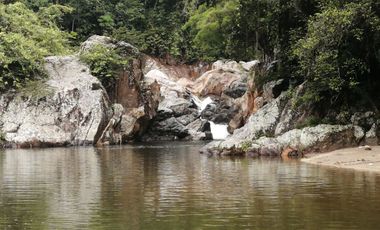 Se vende finca de 43 hectáreas con frente de rio