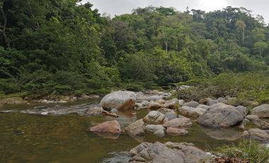 Se vende finca de 43 hectáreas con frente de rio