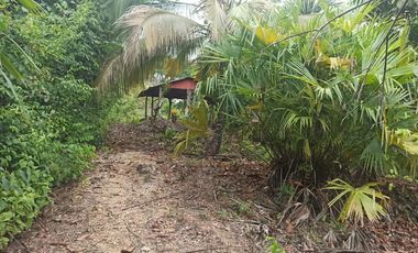 Se vende finca de 43 hectáreas con frente de rio