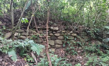 Se vende finca de 43 hectáreas con frente de rio