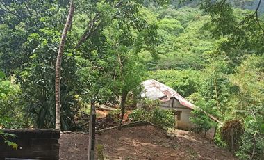 Se vende finca de 43 hectáreas con frente de rio