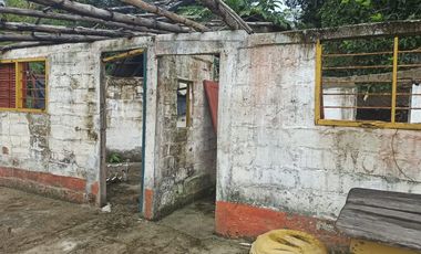 Se vende finca de 43 hectáreas con frente de rio