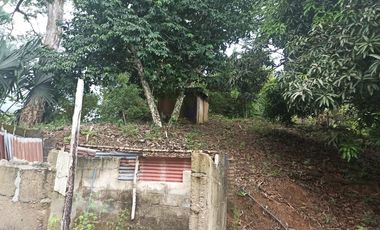Se vende finca de 43 hectáreas con frente de rio