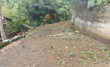 Se vende finca de 43 hectáreas con frente de rio