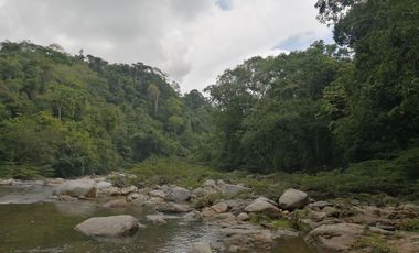 Se vende finca de 43 hectáreas con frente de rio