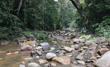 Se vende finca de 43 hectáreas con frente de rio