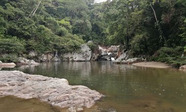 Se vende finca de 43 hectáreas con frente de rio