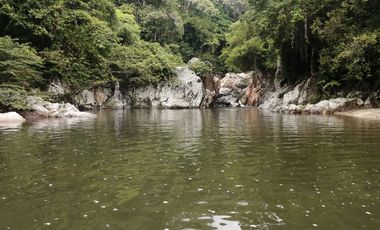 Se vende finca de 43 hectáreas con frente de rio