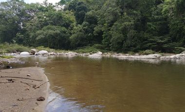 Se vende finca de 43 hectáreas con frente de rio