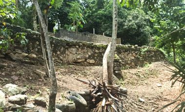 Se vende finca de 43 hectáreas con frente de rio