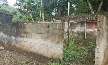 Se vende finca de 43 hectáreas con frente de rio