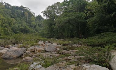 Se vende finca de 43 hectáreas con frente de rio