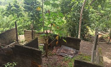 Se vende finca de 43 hectáreas con frente de rio