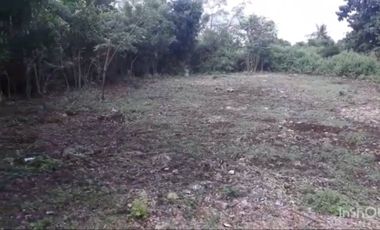 LOT FOR RENT IN OLANGO ISLAND ALONG THE ROAD P6k