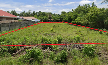 Residential Lot for Sale located in Danao, Panglao Island, Bohol