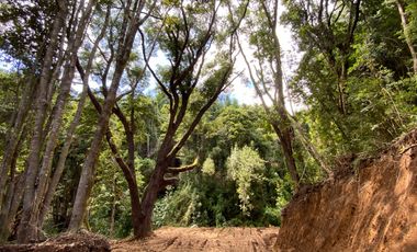 Exclusivas parcelas con orilla y acceso al Lago Huilipilun