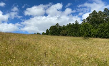 Exclusivas parcelas con orilla y acceso al Lago Huilipilun