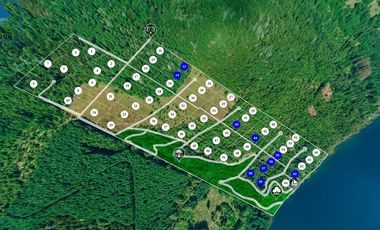Exclusivas parcelas con orilla y acceso al Lago Huilipilun