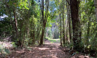 Exclusivas parcelas con orilla y acceso al Lago Huilipilun