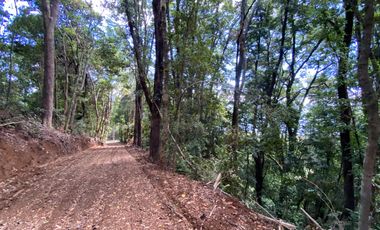 Exclusivas parcelas con orilla y acceso al Lago Huilipilun