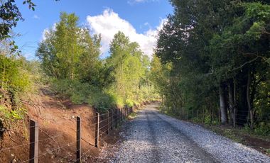 Exclusivas parcelas con orilla y acceso al Lago Huilipilun