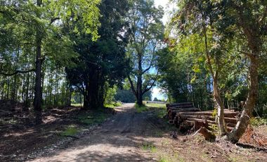 Exclusivas parcelas con orilla y acceso al Lago Huilipilun