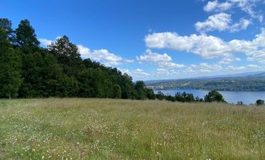 Exclusivas parcelas con orilla y acceso al Lago Huilipilun