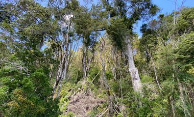 Exclusivas parcelas con orilla y acceso al Lago Huilipilun