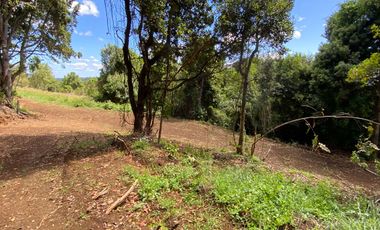 Exclusivas parcelas con orilla y acceso al Lago Huilipilun