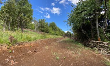 Exclusivas parcelas con orilla y acceso al Lago Huilipilun