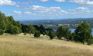 Exclusivas parcelas con orilla y acceso al Lago Huilipilun