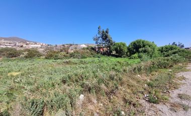 Terrenos en Algarrobito, La Serena