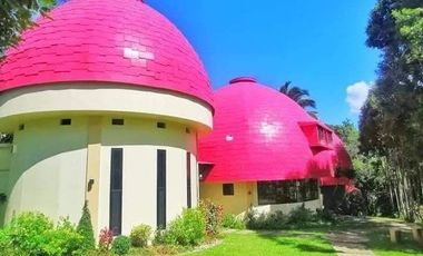 FULLY FURNISHED VILLA FOR SALE - Leisure Farms, Lemery, Batangas