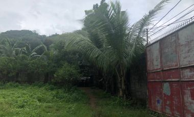 FOR SALE - Vacant Lot in Millex Road Manggahan, Montalban, Rizal