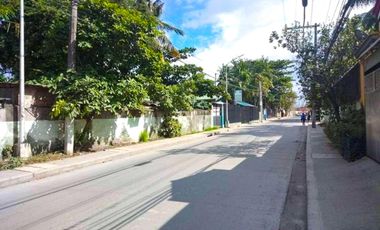 INDUSTRIAL LOT FOR SALE IN PANGHULO, MALABON