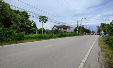 Land for sale in Pa Daet, Chiang Mai. near the 3rd Ring Road, Size 5 rai 112 sq.wa. Price 18,000/ sq wa Total 38 million