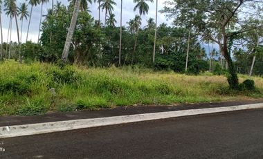 699 sq.m Residential Farm Lot for sale in Tiaong Quezon