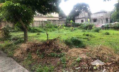 Ayala Heights | 2 Prime Vacant Lots For Sale in Quezon City Near Batasan Hills