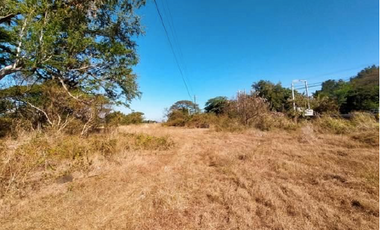 31,745sqm Vacant Lot for Sale along Provincial Road of Lupao, Nueva Ecija