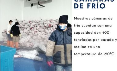Manta - Empacadora de Atun y Pelagico Pequeño con Permiso de Exportación en Venta