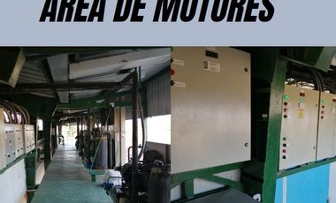 Manta - Empacadora de Atun y Pelagico Pequeño con Permiso de Exportación en Venta
