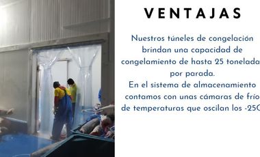 Manta - Empacadora de Atun y Pelagico Pequeño con Permiso de Exportación en Venta