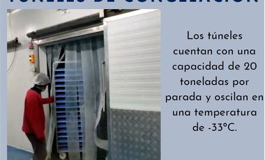 Manta - Empacadora de Atun y Pelagico Pequeño con Permiso de Exportación en Venta