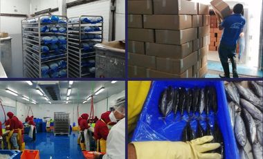 Manta - Empacadora de Atun y Pelagico Pequeño con Permiso de Exportación en Venta