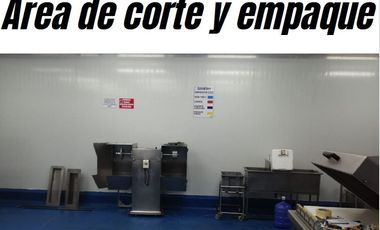 Manta - Empacadora de Atun y Pelagico Pequeño con Permiso de Exportación en Venta